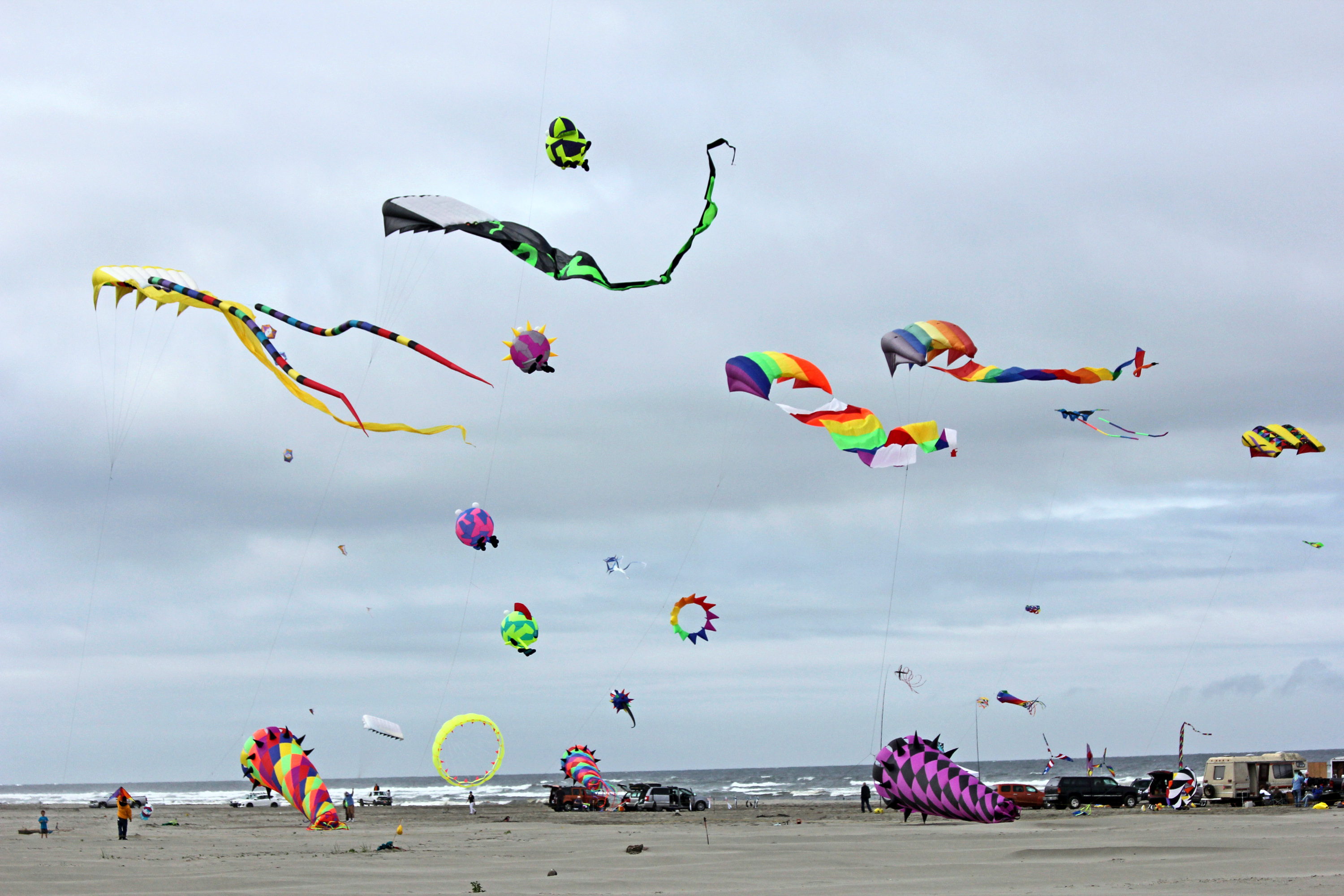 Go Fly A Kite Shutterbug